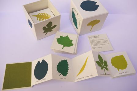 feuilles3.jpg