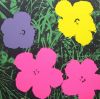 warhol_flower9.jpg